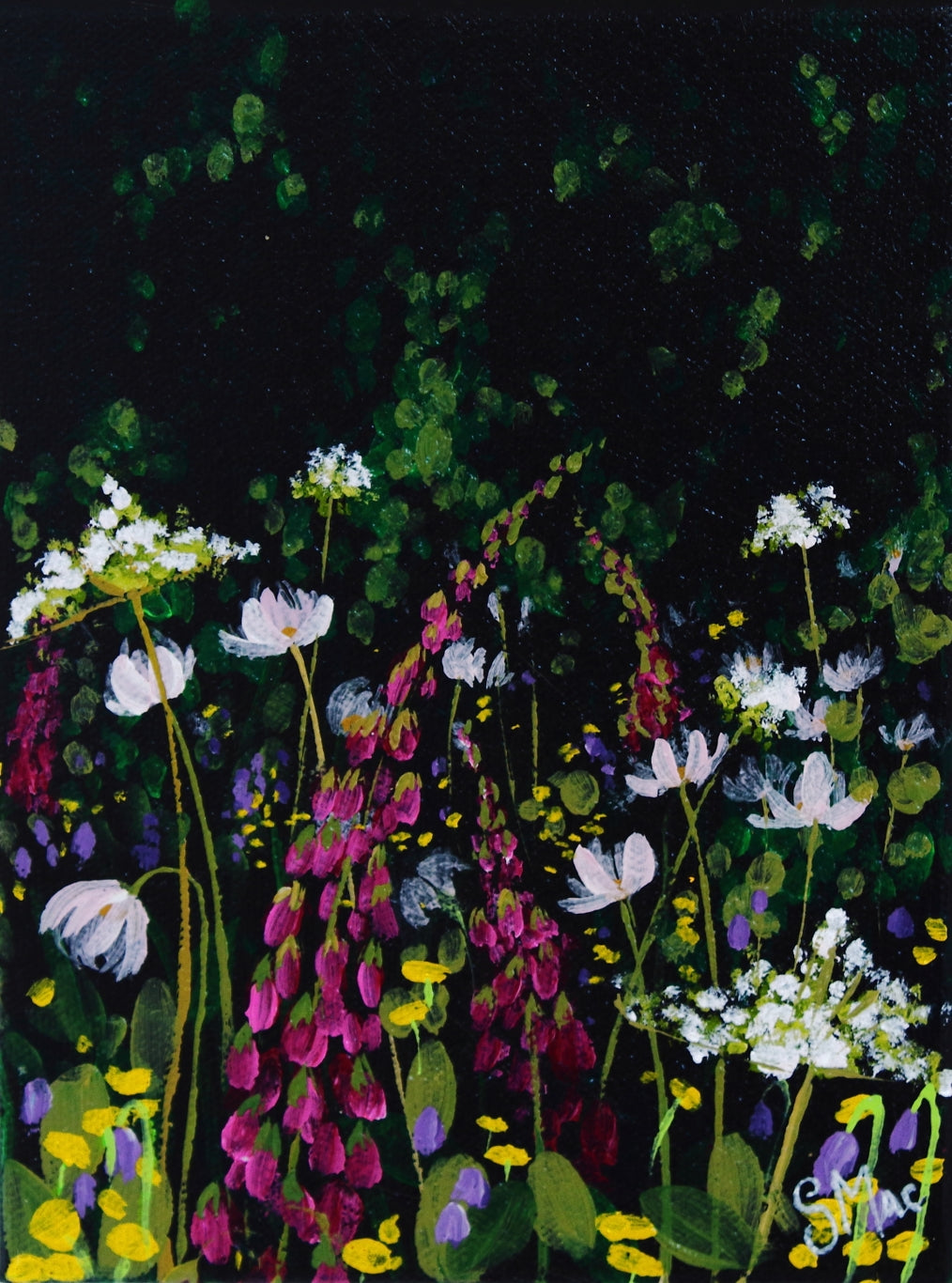 'Garden Favourites' Giclée Fine Art Prints