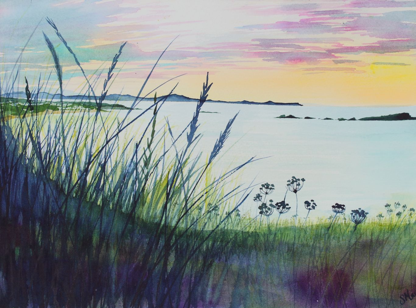 'Sunset Seedheads' Giclée Fine Art Prints